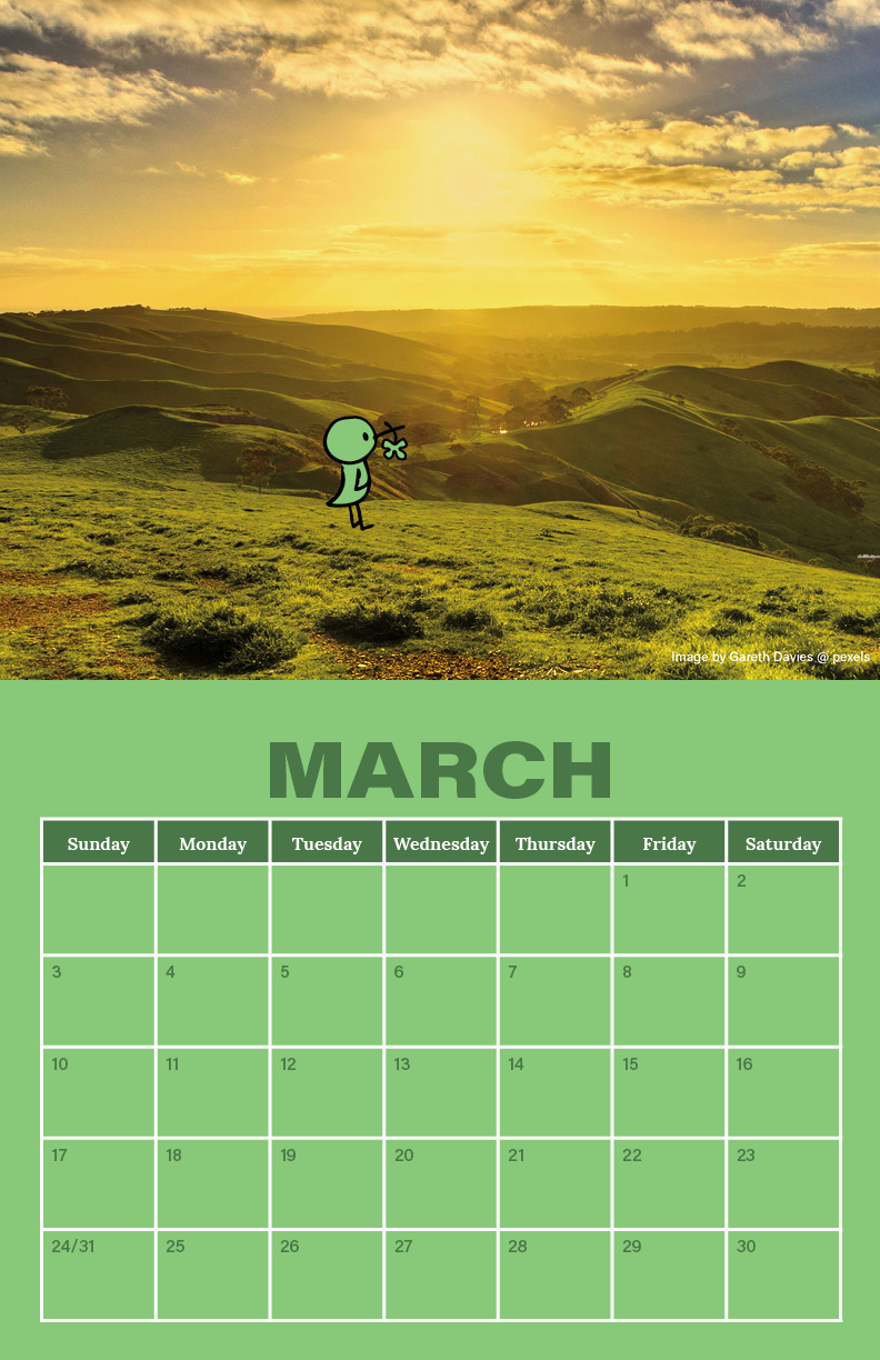 Calendar Project