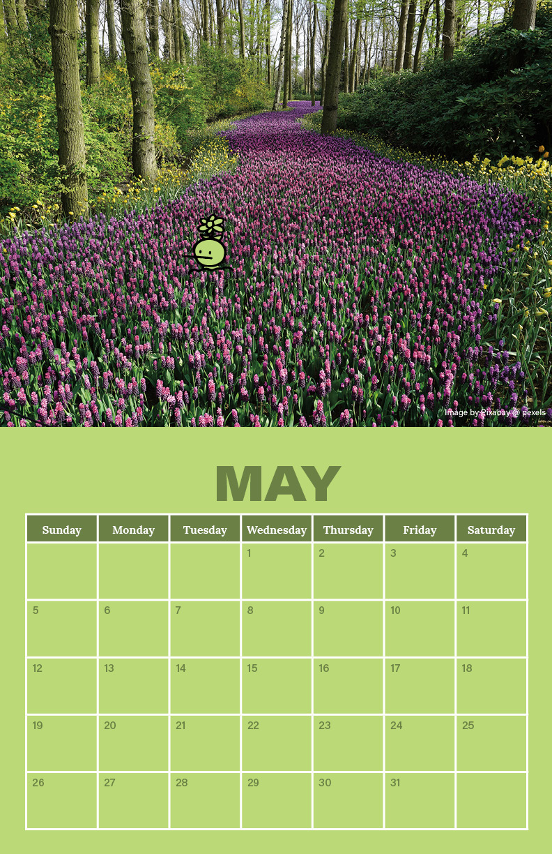 Calendar Project